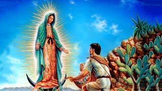 St Juan Diego HD [upl. by Lehrer]