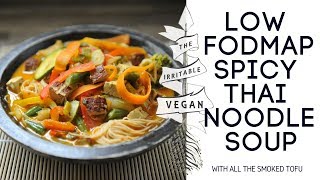 Low FODMAP Spicy Vegan Laksa [upl. by Ekud]