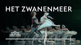 Het Zwanenmeer 2019 trailer  Het Nationale Ballet [upl. by Nagad]