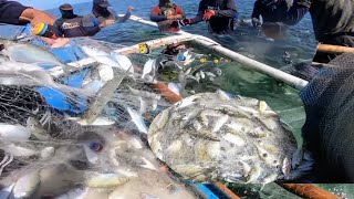 Dale ang kawan ng MATAMBAKA  FISHING IN PHILIPPINES [upl. by Reinertson]