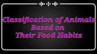 Herbivores Carnivores and Omnivores  Classification of animals based on their food habits animals [upl. by Anigue]