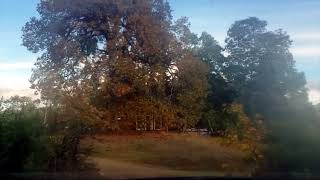 California  Laytonville  Spyrock Road  Timelapse  November 2023 [upl. by Per]