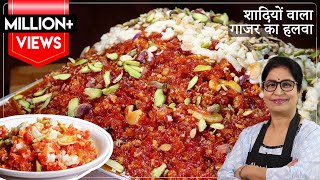 शादियों वाला गाजर का हलवा बनाये घर पर हलवाई की खास ट्रिक से  Halwai Style Gajar Ka Halwa Recipe [upl. by Hawken551]