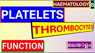 Platelets Malayalam Platelets structure function Physiology Malayalam [upl. by Eiramannod76]