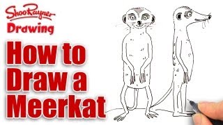 How to draw a Meerkat  Simples  Spoken Tutorial [upl. by Aicenek]