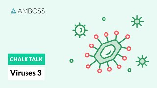 Viruses  Part 3 Viral Replication Process [upl. by Kristof]