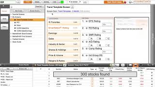 Create Custom MarketSmith Screens From Mark Minervini’s Trend Templates [upl. by Manson]