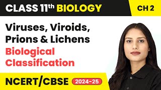 Viruses Viroids Prions amp Lichens  Biological Classification  Class 11 Biology Chapter 2  CBSE [upl. by Nairdna]