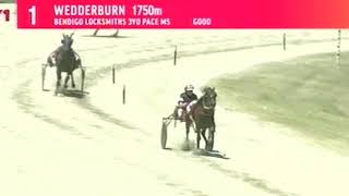 2019 WHRC Wedderburn Harness Spectacular Fall [upl. by O'Brien]