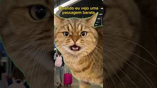 Vi Passagem Barata humor gatos gato cats cat viagens viagem viajar turismo trips trip [upl. by Anitak]