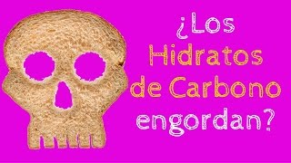 ¿Los hidratos de carbono engordan [upl. by Acinoed928]