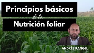 Principios Básicos de la nutrición Foliar [upl. by Lennod]