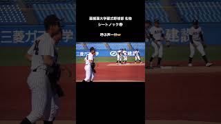 呼ぶ声ー⚾️亜細亜大学名物 シートノック。戦いは、この声がけから始まります🔥亜細亜大学 亜細亜大学硬式野球部 全力疾走 大学野球 プレミアムユニバーシティズ22 東都大学野球連盟 [upl. by Leumhs792]