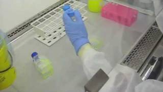 Biosafety Cabinet BSC Virus Culturing Practices cell amp tissue cultures [upl. by Sair]