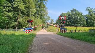 Spoorwegovergang Doetinchem  Dutch Railroad Crossing [upl. by Neenwahs]