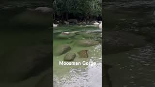 Mossman gorge  preview [upl. by Bergquist]