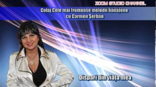 COLAJ CELE MAI FRUMOASE MELODII BANATENE CU CARMEN SERBAN ZOOM STUDIO [upl. by Anair507]