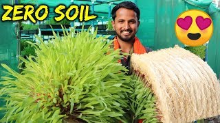 बिना मिट्टी  Organic Farming  90 पानी की बचत  Hydroponics Farming in India  Indian Farmer [upl. by Dov776]