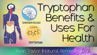 Tryptophan Benefits and Uses [upl. by Olshausen]