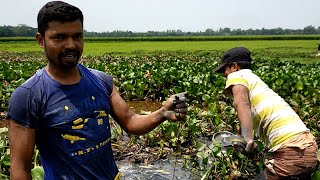 Sungai brahmaputra india in village fishing [upl. by Zenia]