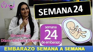 EMBARAZO SEMANA 24 EMBARAZO SEMANA A SEMANA POR GINECOLOGA DIANA ALVAREZ [upl. by Htiffirg256]