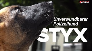 Styx Unverwundbarer Polizeihund [upl. by Nnoryt]