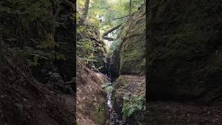 DRACHENSCHLUCHT 33 EISENACH  THÜRINGEN [upl. by Lockwood46]