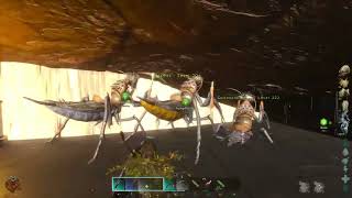 Ark Survival Ascended  I play Solo on a 4man Cluster Best Hiden Rathole for Solo maybe Duo🙌 [upl. by Nadabas]