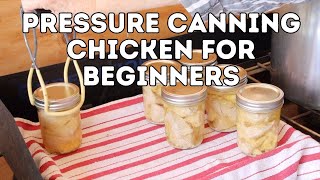 Pressure Canning Chicken for Beginners [upl. by Denoting678]