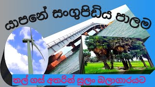 ලංකාවෙද මේහැමෝම නොදන්න සුන්දර සංගුපිඩිය [upl. by Airam]