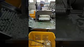 Quail Egg Shelling Process Line Quail Egg Peeling System For Quail Egg Farm [upl. by Yacano]