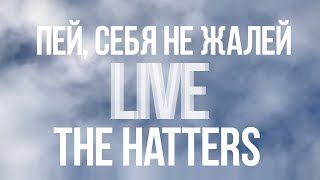 THE HATTERS  ПЕЙ СЕБЯ НЕ ЖАЛЕЙ LIVE НА ДАЧЕ У ЛЁХИ [upl. by Amla]