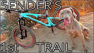 How to Train a Trail Dog  My Dogs First Mountain Bike Trail  Sender the Trail Dog  Top MTB Dog [upl. by Hgielrebmik]