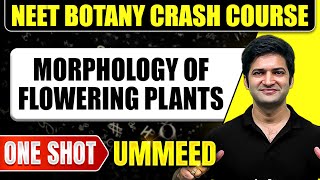 MORPHOLOGY OF FLOWERING PLANTS in 1 Shot All Concepts Tricks amp PYQs  NEET Crash Course  Ummeed [upl. by Tsew178]