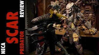 Neca Scar Predator Review Bootleg Comparison [upl. by Odirfliw866]