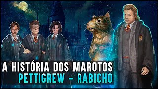 HOGWARTS UMA HISTÓRIA  MAROTOS RABICHO [upl. by Groome]