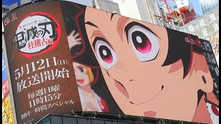 フジテレビ 鬼滅の刃 柱稽古編 きめつのやいば 海外の反応 花江夏樹 松岡禎丞 demon slayer reaction 竈門炭治郎 刀鍛冶の里編 敵襲編 キメツ 新宿 tv fuji japan [upl. by Elberta648]