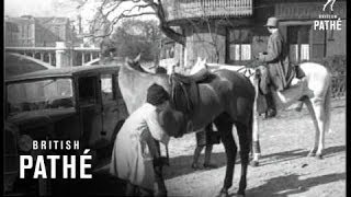 Womens 656 Mile Horse Ride 1928 [upl. by Roger]