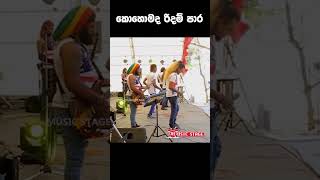 අදත් තිබ්බනම් සුපිරිම Band එකක් Seeduwa Thurya tranding nonstop [upl. by Selinda]