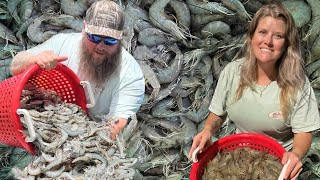 The BIGGEST river SHRIMP I ever caught Catch and Cook Shrimp Boulettes [upl. by Colly]