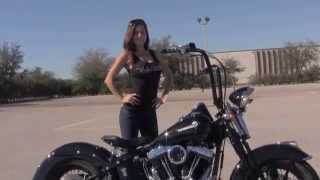 Used 2008 HarleyDavidson FL Springer Motorcycle for sale [upl. by Richards]