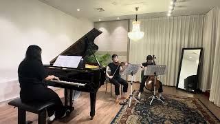 A Piazzolla  Four Seasons of Buenos Aires Winter  piano trio [upl. by Madra517]