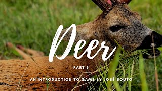 Beyond Bambi Unveiling the Majesty of Britains Deer with Jose Souto Part 8 [upl. by Haberman]