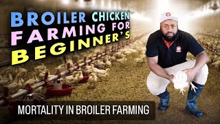 Avoid These Costly Mistakes in Broiler Farming [upl. by Rashida295]