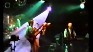 Le Orme  Live in Torino 1996 Full Concert [upl. by Ursas382]