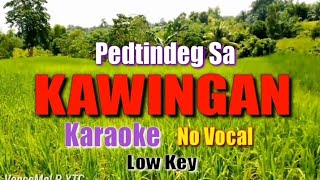 PEDTINDEG SA KAWINGAN  Nyt Lumenda karaokelyrics [upl. by Eyatnod]