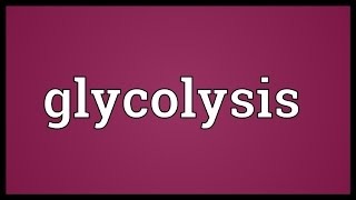 Glycolysis Meaning [upl. by Bate]