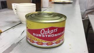 Surströmming Stinkefisch aus der Dose Das letzte Abendmahl [upl. by Aetnahs]