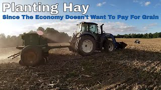 Planting Timothy amp Alfalfa Hay [upl. by Brockie87]