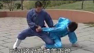 Shaolin Kung Fu big Hong Quan combat applications [upl. by Ahseer]